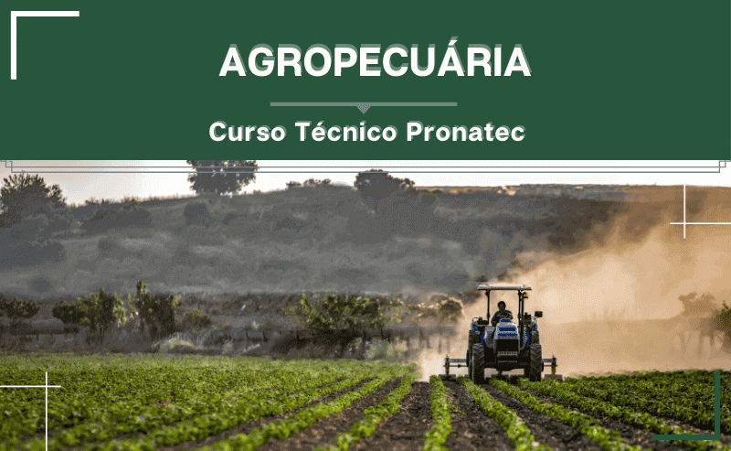 agropecuária